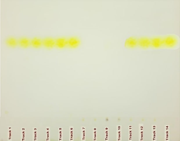 HPTLC plate for urea under visible light HPTLC plate viewed under visible light obtained for the identification of urea in milk with 14 tracks and yellow spots