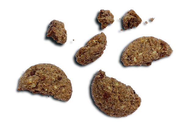 Chocolate  chip cookies