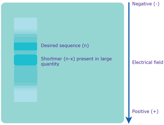 通过PAGE进行分离。