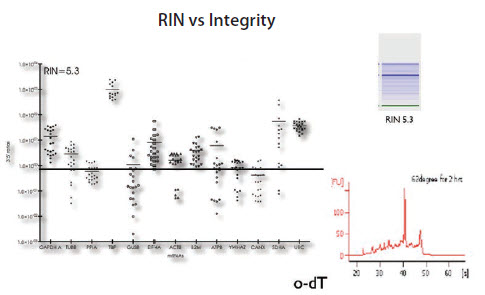 RNA samples from HT29 cells with RIN approximately 5