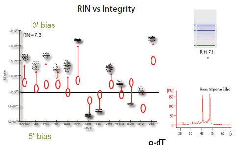 RNA samples from HT29 cells with RIN approximately 7
