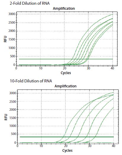 ReadyScript® RT试剂用于逆转录2倍和10倍连续稀释模板中的总RNA。