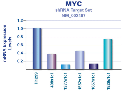 MISSION<sup>®</sup> shRNA靶序列