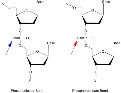 磷酸二酯和硫代磷酸盐的核苷酸间键