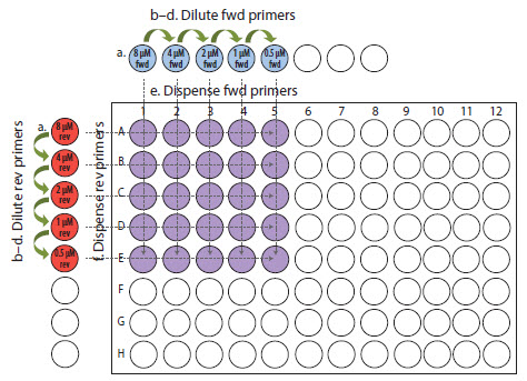Primer optimization example