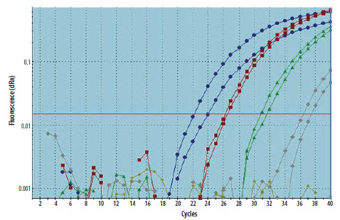 A cDNA sample was diluted through a 10-fold serial dilution and the specific template detected using duplicate qPCR for each dilution