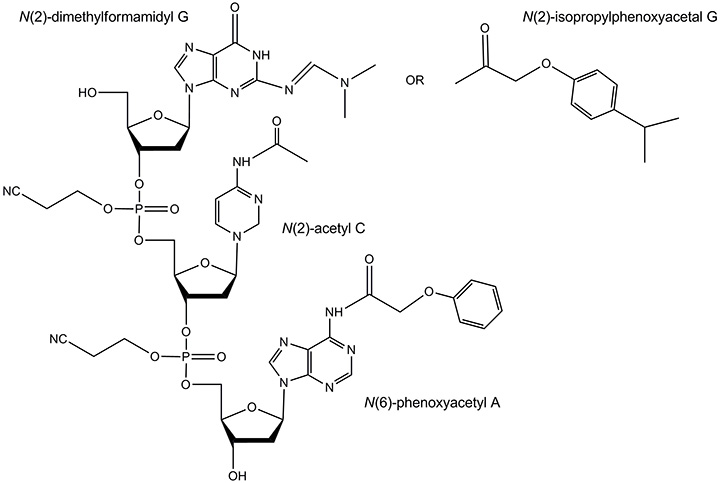不稳定的和超温和的保护基团