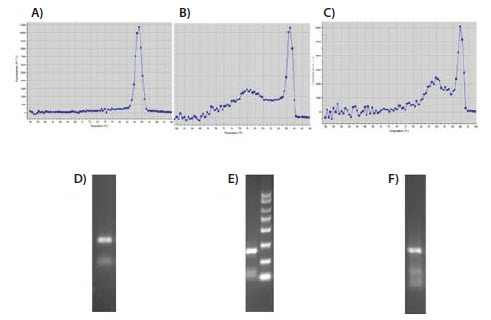 Evaluation of melt curves