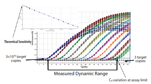 An example of high reproducibility and wide range of detection using a serial dilution of linearized plasmid