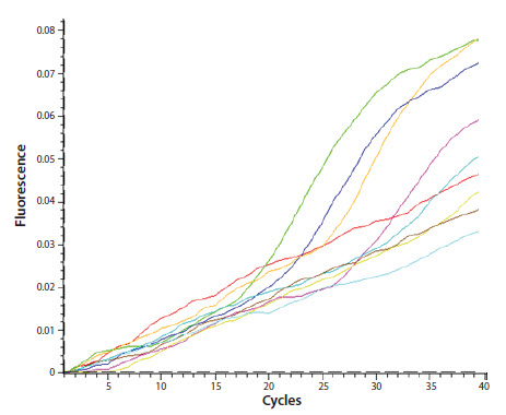 The assay has an unusual amplification plot profile with a pronounced drift of the baseline