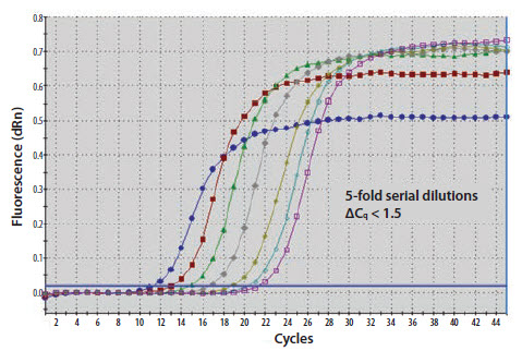 A template nucleic acid was diluted through a 10-fold series