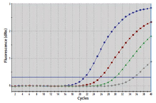 A template nucleic acid was diluted through a 10-fold series