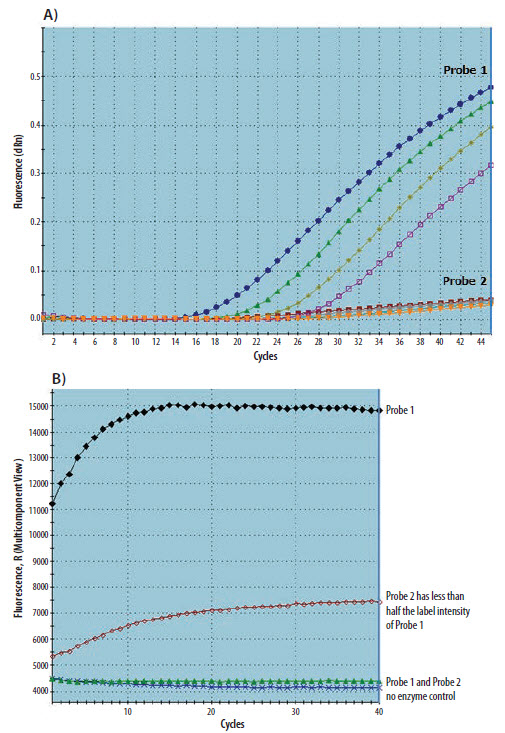 Two templates were detected using different probes