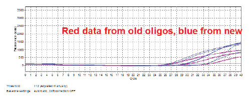 Two batches of primers and probes to EIFB1