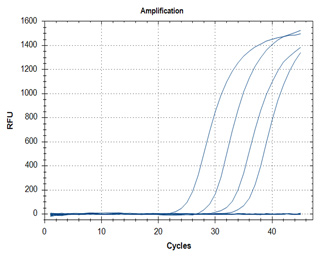SARS-CoV-2 detection assays utilizing the KAPA PROBE FAST One-Step qRT-PCR Master Mix (2X) Universal Kit (Cat. No. KK4752) for primer targets N1 (graph A) and N2 (graph B).
