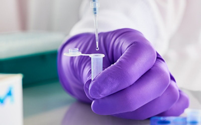 紫色手套和移液器