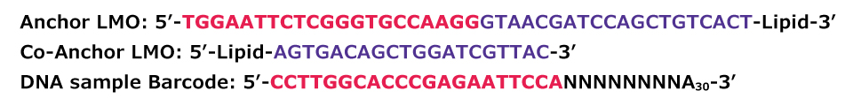 MULTI-seq DNA sequences of Anchor, Co-Anchor and DNA sample barcodes.