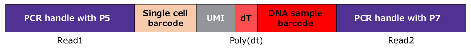 Full assembly of the MULTI-seq sample barcode library.