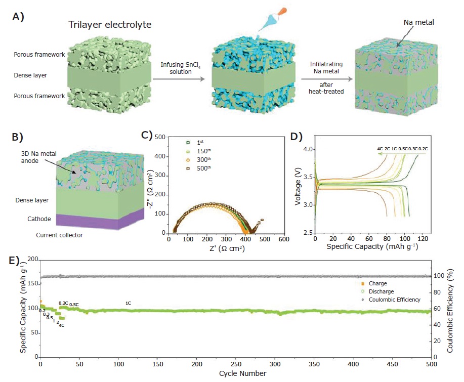 Schematic illustration of the monolithic NZSP 