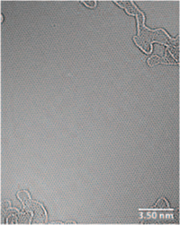 HRTEM image of a CVD monolayer graphene film