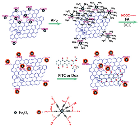 Multifunctional GO based carrier