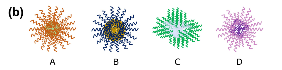  The illustration depicts four types of DNA-functionalized core particles labeled A, B, C, and D in various colors, showcasing the diversity of DNA-functionalized core particles. These different types of functionalized core particles represent a range of materials, including metallic nanoparticles, MOF structures, hydrogels, proteins, etc., highlighting their potential for tailored applications in nanotechnology, biotechnology, and materials science.
