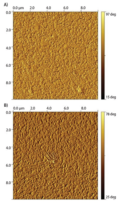 gold surfaces coated