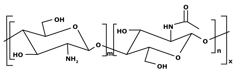 Chitosan chemical structure