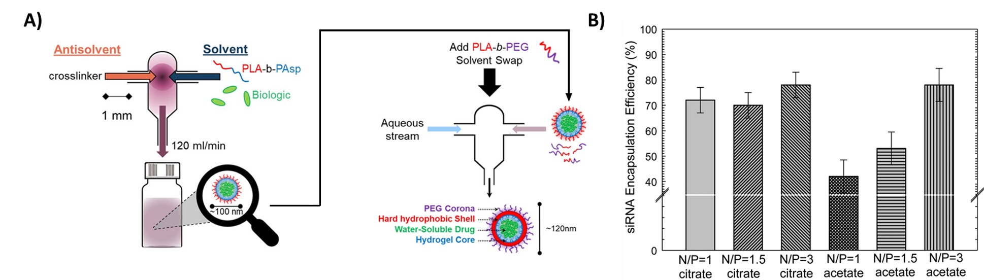 Encapsulation of hydrophilic actives