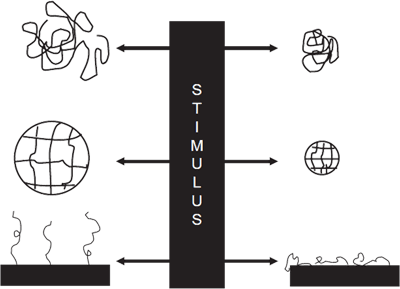 Stimuli-responsive Polymer Forms