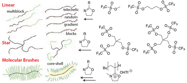The structural and chemical variability of POx