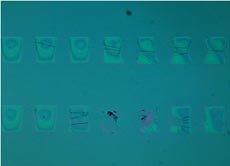Oxygen plasma treated PDMS surface:  4th imprint