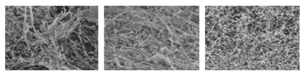 产生的BNNT材料的SEM显微照片