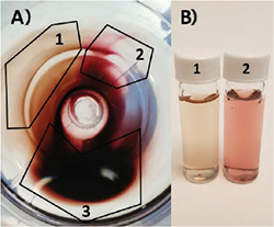 Top-down view of centrifuge tube 