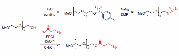 Transformation of the hydroxyl terminus of poly(ethylene glycol) into azide and alkyne functionalities.
