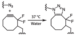 SPAAC between an azide and a difluorocyclooctyne eliminates the need for a copper catalyst and allows material fabrication under physiological conditions.