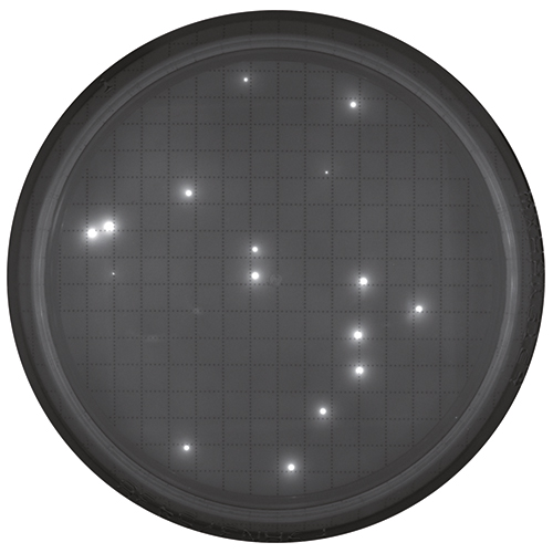 荧光染色后的琼脂平板，利用 Milliflex® Quantum 系统进行微生物快速检测