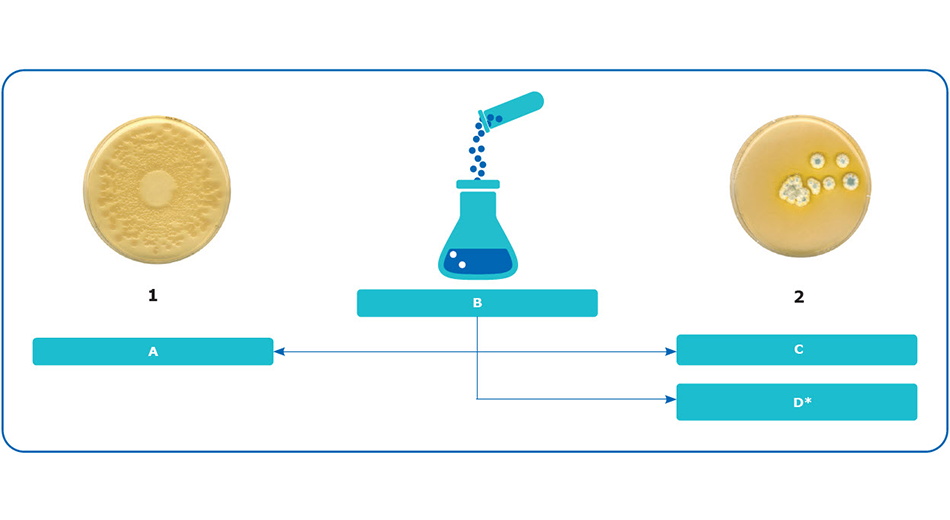 Diagram: Microbial Enumeration Tests
