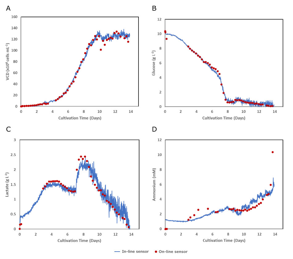 In-line Raman sensor measurements and on-line automated sampling of VCD, glucose, lactate and ammonium were performed during 14 days and show comparable performance in all cases.