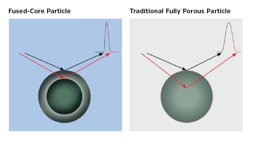 Illustration showing shorter diffusion paths in Fused-Core® Particles in comparison with Traditional Fully Porous Particles.