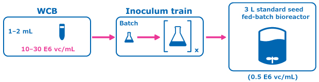 Figure 2 (Control condition: Conventional Seed Train) shows the experimental plan for intensified upstream case study evaluation comparing a perfused N-1 seed train utilizing a Cellicon® filter for cell retention to a conventional seed train in shake flasks prior to inoculation of a set of fed-batch bioreactors at 0.5E6 cells/mL.