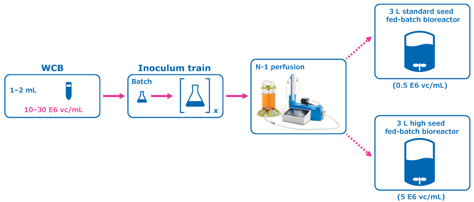 Figure 1 (Experimental condition: Perfused N-1 Seed Train) shows the experimental plan for intensified upstream case study evaluation comparing a perfused N-1 seed train utilizing a Cellicon® filter for cell retention to a conventional seed train in shake flasks prior to inoculation of a set of fed-batch bioreactors at 0.5E6 cells/mL.