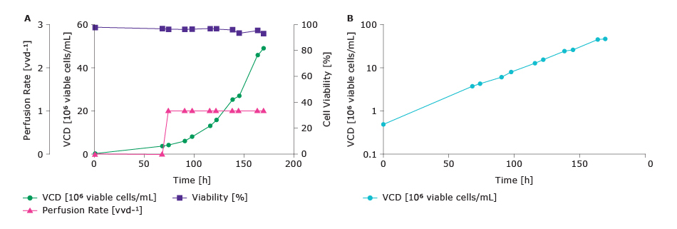 CHOZN® GS cell line