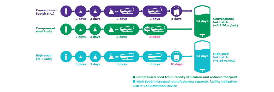 Comparison of a standard manufacturing process to processes that use N-1 perfusion in the seed train.