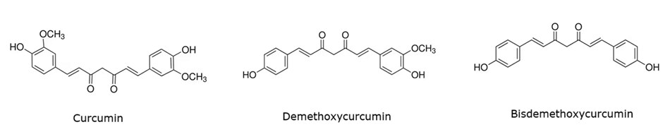Chemical structures of curcumin, demethoxycurcumin, and bisdemethoxycurcumin Black-and-white skeletal chemical structures of three curcuminoid compounds arranged from left to right. On the left is curcumin, which consists of two aromatic rings each substituted with a hydroxyl group and a methoxy group, connected by a seven-carbon chain containing two α,β-unsaturated carbonyl groups. In the middle is demethoxycurcumin, which has a similar backbone to curcumin but only one of the aromatic rings contains a methoxy group; the other ring has just a hydroxyl group. On the right is bisdemethoxycurcumin, which features two aromatic rings each with only one hydroxyl group, with no methoxy substitutions, and the same central diketone linkage connecting them.