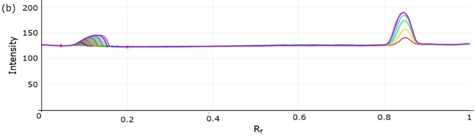 2D densitogram for atenolol A two-dimensional densitogram showing the same calibration tracks plotted against Rf values on the x-axis and intensity on the y-axis. Here, the same-colored lines show two main sets of peaks corresponding to different compounds, with the higher Rf peaks being sharp and symmetrical, indicating consistent detection. The overlapping stacked nature of the lines demonstrates the increasing concentration gradient used for calibration.