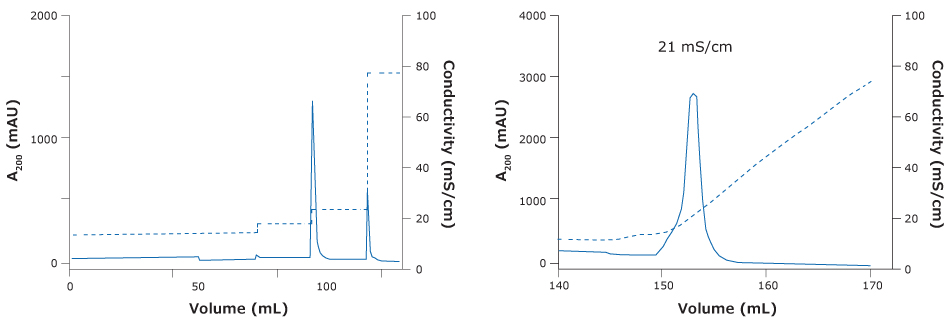 Chromatography of ChAdOx-2-RabG vaccine