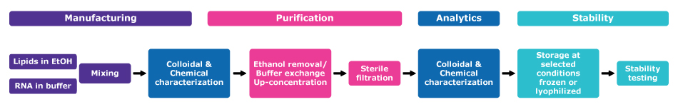 Process flow highlighting the different steps in lipid nanoparticle formulation: manufacturing (using lipids dissolved in ethanol, RNA dissolved in buffer, and a mixing step), purification (which includes solvent removal, buffer exchange, up-concentration and sterile filtration steps), analytics for characterization (at various stages in the process), and storage stability testing.