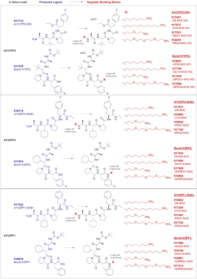 IAP-targeted ligands and degrader building blocks based on in silico screening of AVP mimetics.