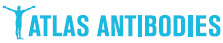 atlas抗体标志